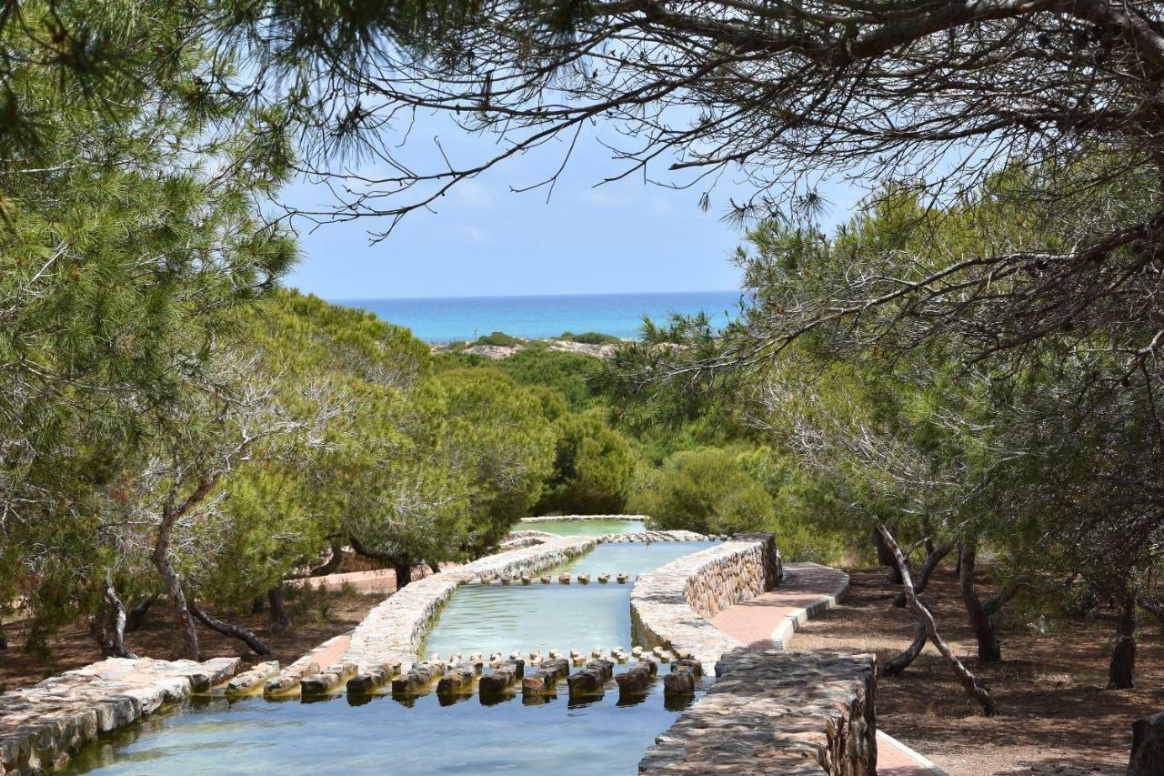 Apartment Vinamar III - Sunny La Mata لا ماتا المظهر الخارجي الصورة